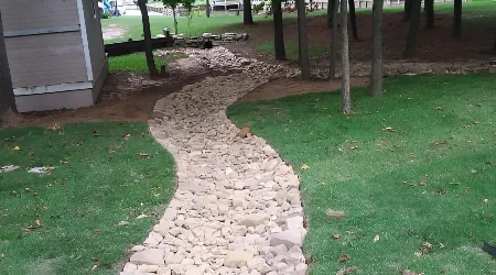 drainage